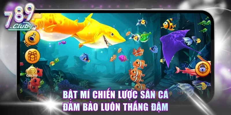 Bật mí chiến lược săn cá đảm bảo luôn thắng đậm 